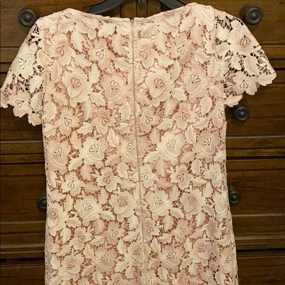 Tahari ivory blush petite 2P dress - Picture 3 of 4